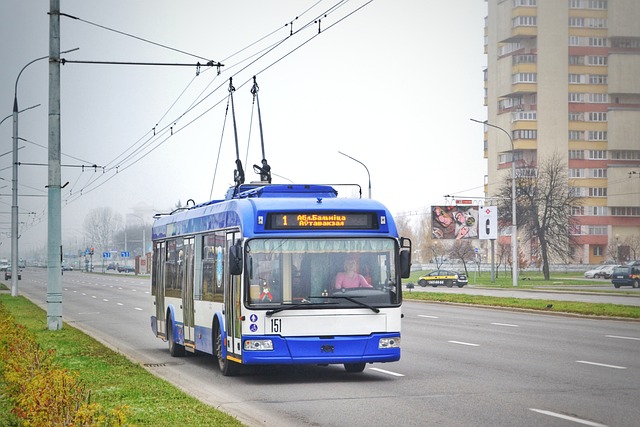 Profesjonalne transportowe usługi - skorzystaj z bezpiecznego przejazdu do Holandii!